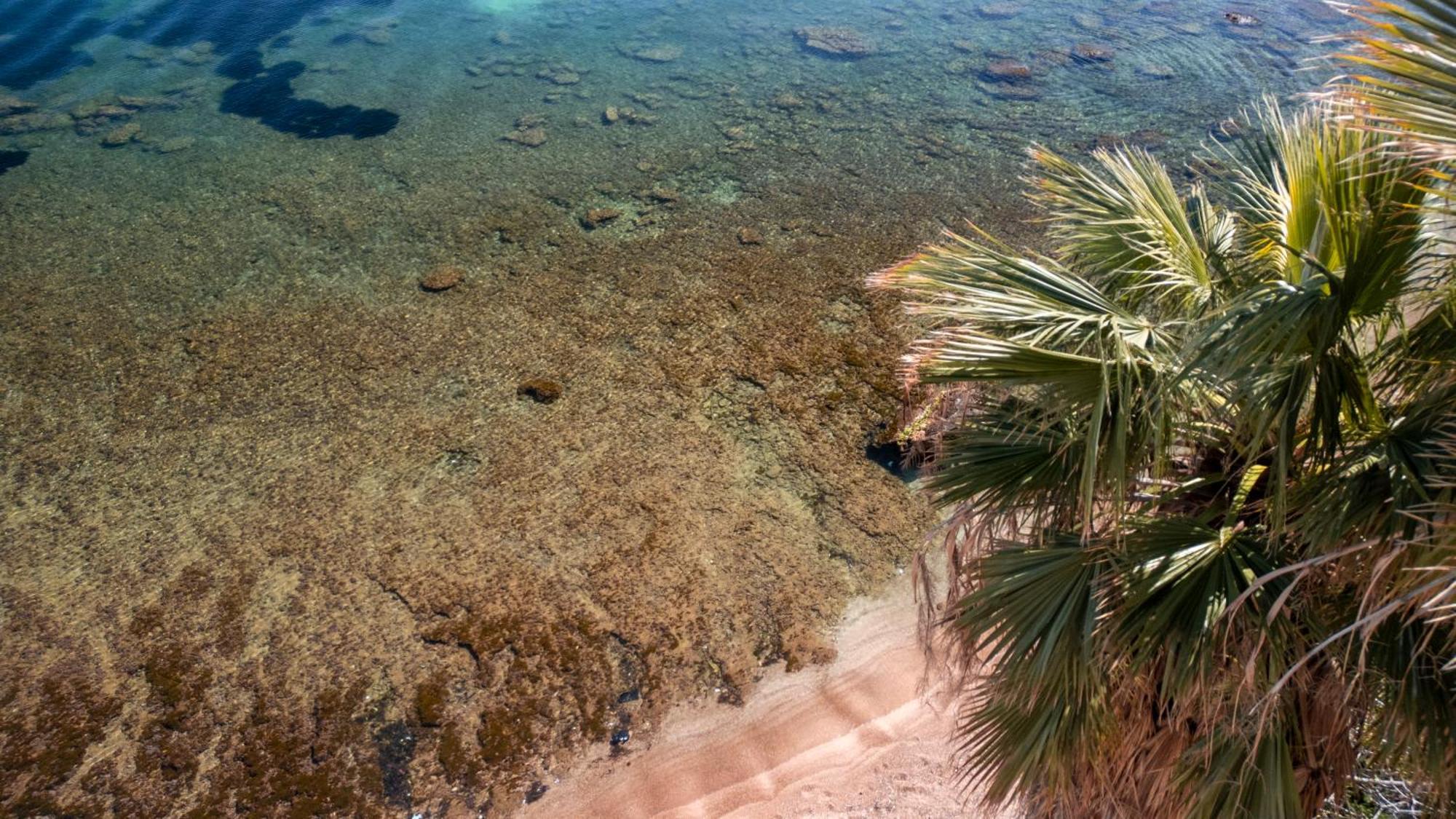 La Casetta Sul Mare Castellammare del Golfo Bagian luar foto